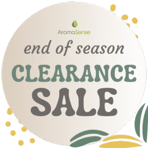 Sunny Season Clearance